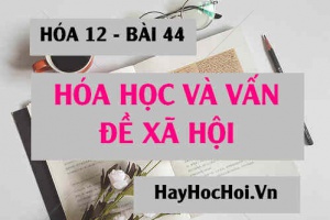 Hóa học và vấn đề Xã hội: Lương thực, thực phẩm, may mặc và sức khỏe con người - Hóa 12 bài 44